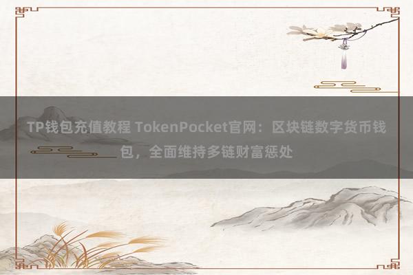 TP钱包充值教程 TokenPocket官网：区块链数字货币钱包，全面维持多链财富惩处