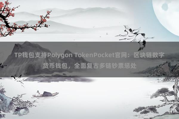 TP钱包支持Polygon TokenPocket官网：区块链数字货币钱包，全面复古多链钞票惩处